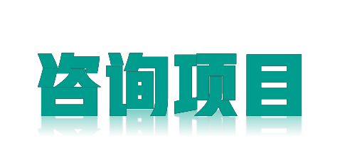 2024年***市健康管理系统咨询服务