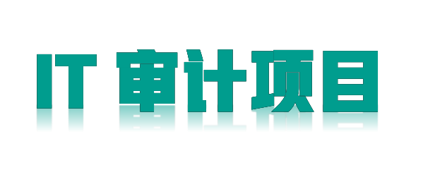 2024年***市慧眼工程IT审计服务