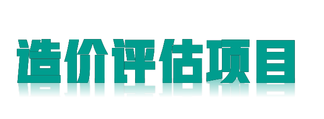 2023年***市工程管理系统造价评估服务